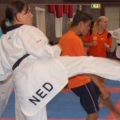 Taekwondo